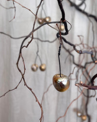 Einzelkirsche Iskra als Astschmuck