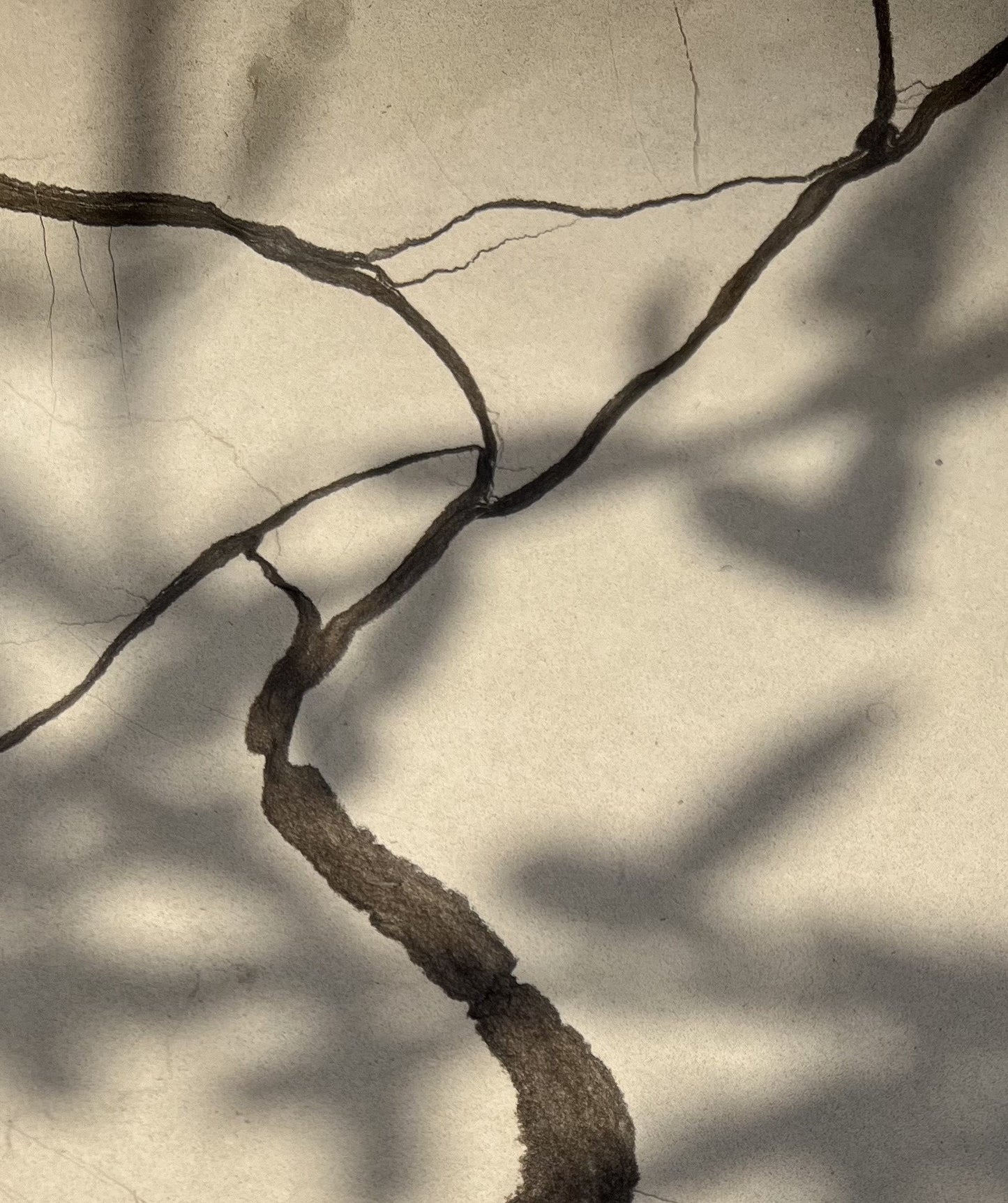 Pure Stone Kollektionsbild mobil