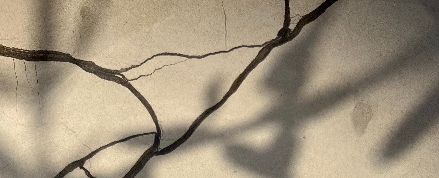 Pure Stone Struktur Schatten