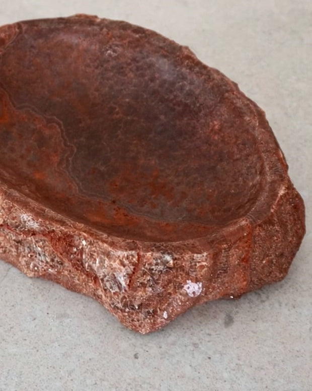 Video Schale Zora von oben